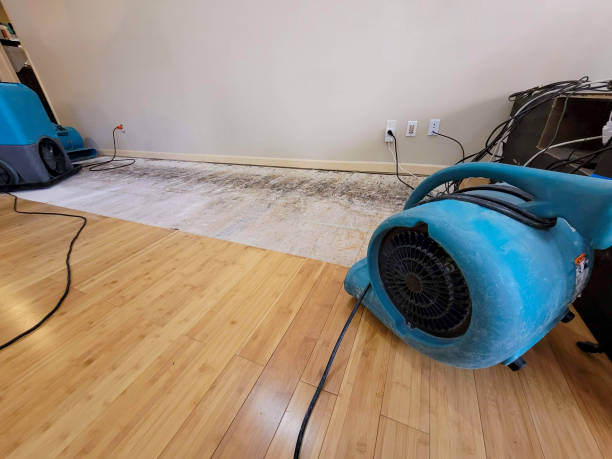 Professional Sewage Cleanup technician working in Minster, OH